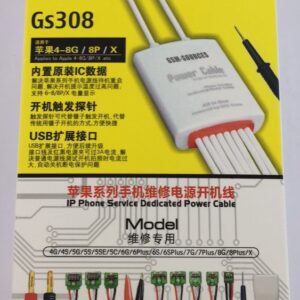 GS308