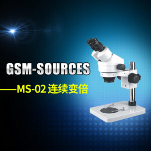 GSM-SOURCES-MS-02