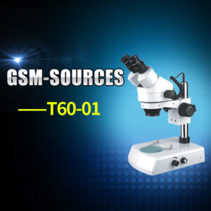 GSM-SOURCES-T60-01